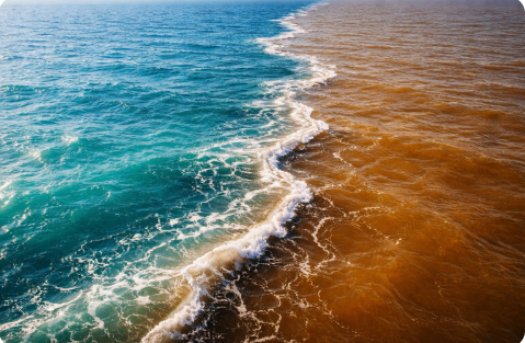 الإعجاز العلمي في الحاجز بين البحرين في القرآن الكريم