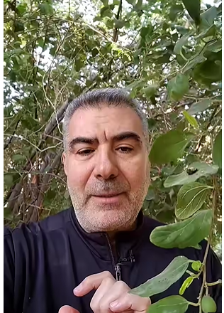 الإعجاز العددي في اية مدهامتان