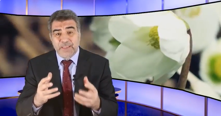 اعجاز القران في المادة الخضراء | عبد الدائم الكحيل