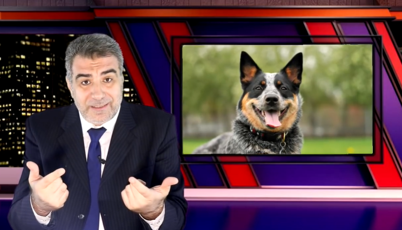 فمثله كمثل الكلب/مع الكحيل